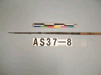 藏品(單鏃木箭)的圖片